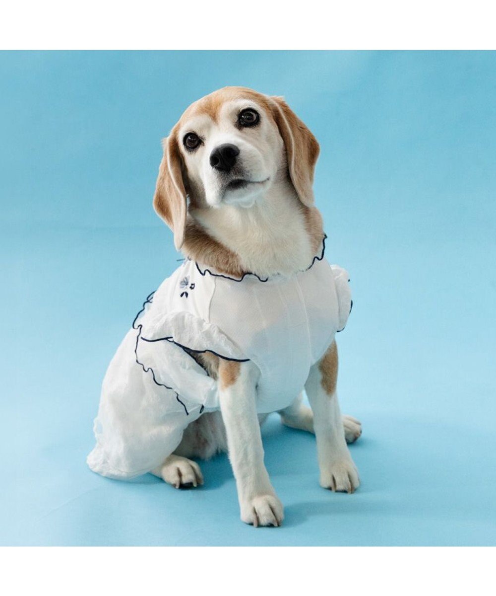 PET PARADISE ペットパラダイス フロッキー お花 ワンピース 《ホワイト》  中型犬 大型犬 