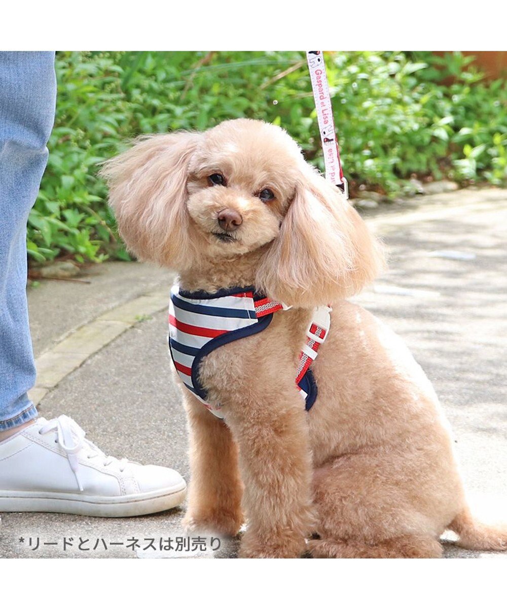 ヘッドインハーネス 【SS】 オレンジ / ブルー 【小型犬