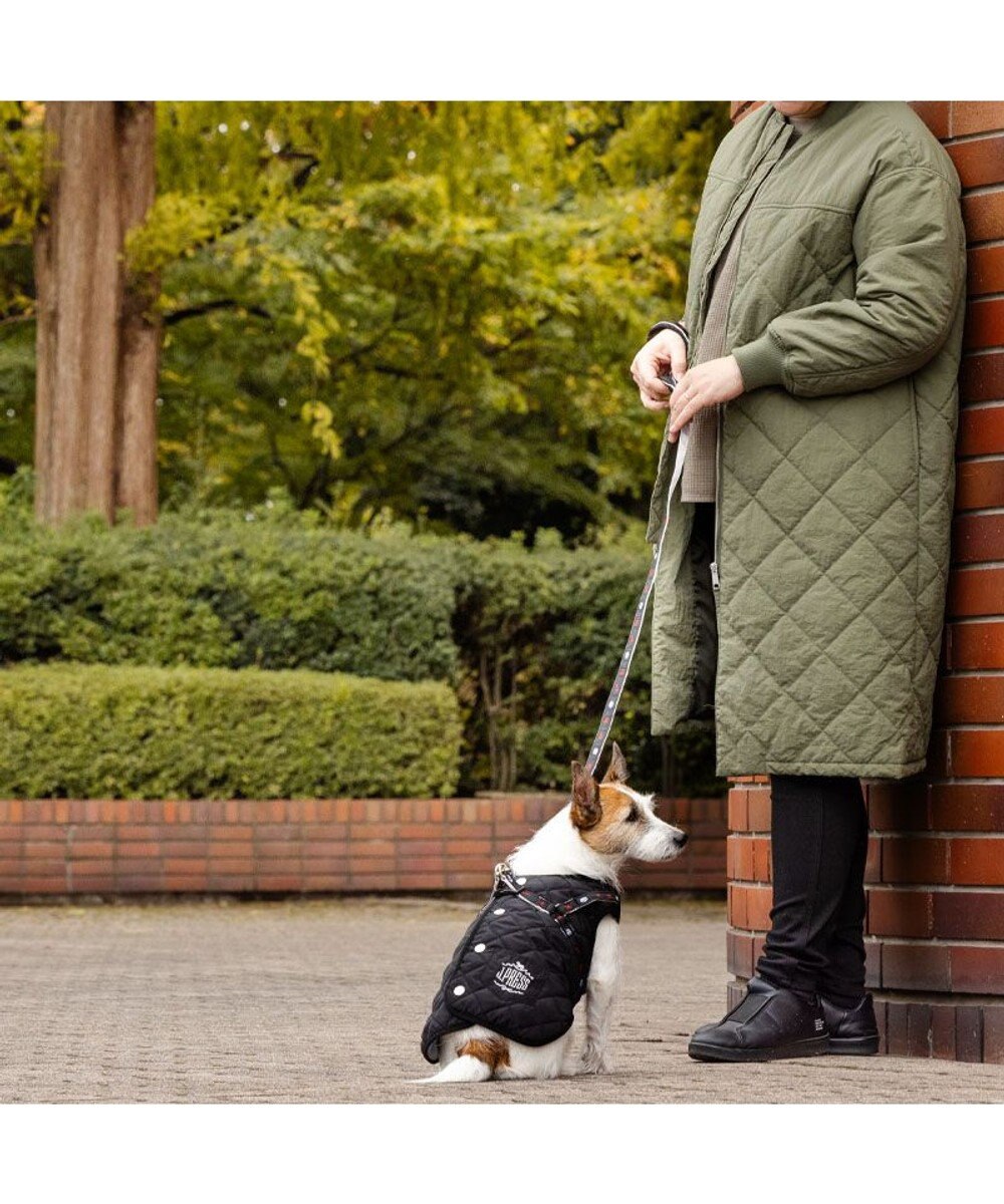 PET PARADISE J.PRESS アウターハーネス 《ブラック》 小型犬 