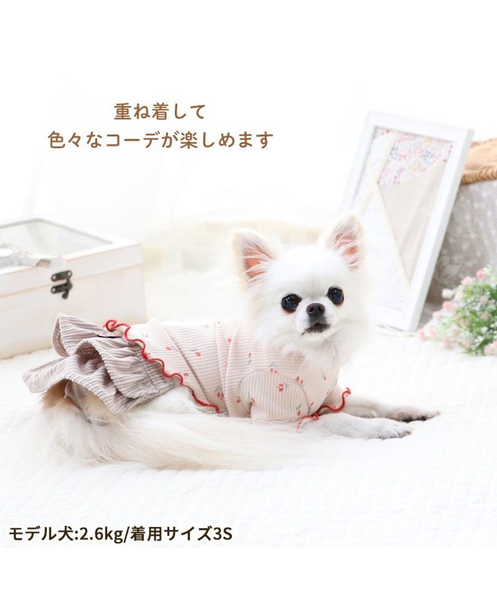PET PARADISE ペットパラダイス フリフリ サニタリーパンツ 小型犬