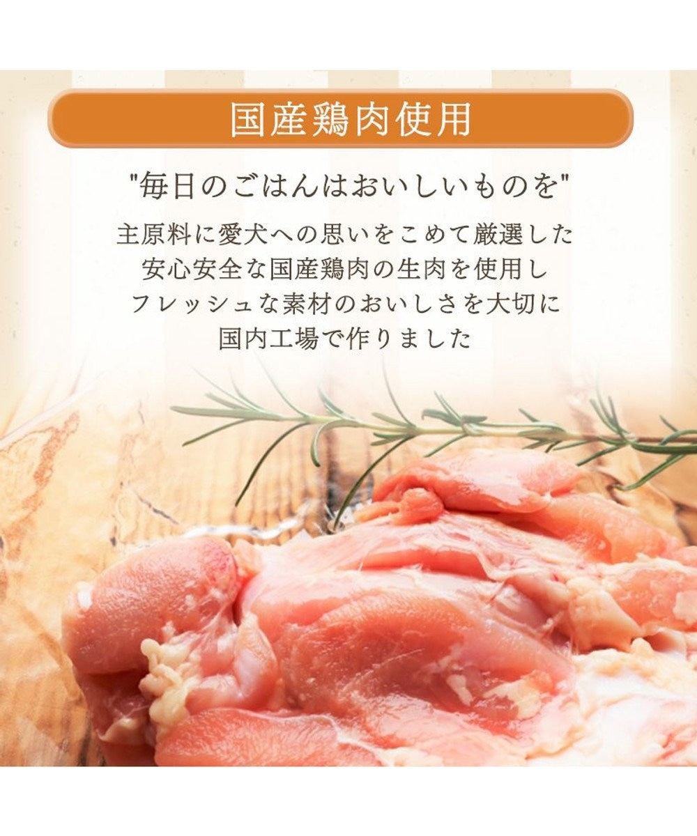 PET PARADISE ≪配合リニューアル≫  ペットパラダイス 国産 ドッグフード ビオキッチン 1kg