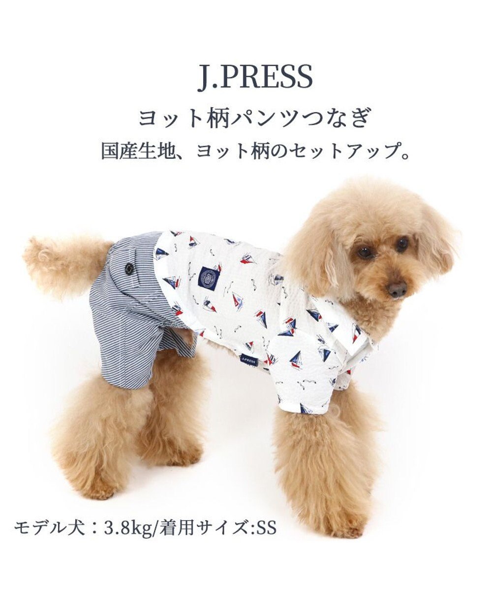 犬の服 春J.PRESS ヨット柄 パンツ つなぎ 【小型犬】 / PET PARADISE