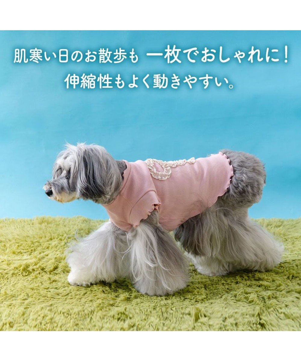 PET PARADISE ペットパラダイス リボン プレミアム ペティヒート Ｔシャツ 超小型犬 小型犬 