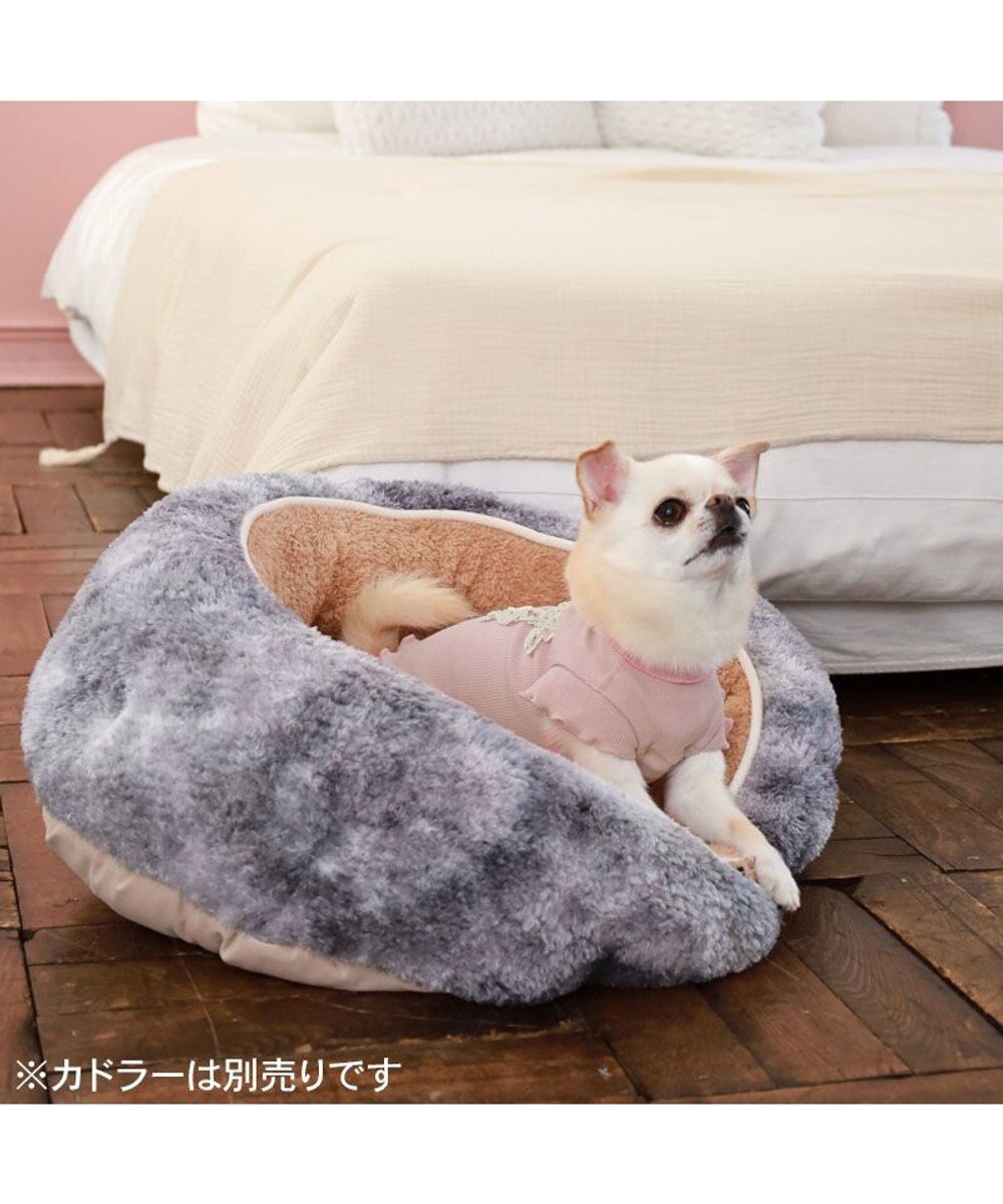 PET PARADISE ペットパラダイス リボン プレミアム ペティヒート Ｔシャツ 超小型犬 小型犬 