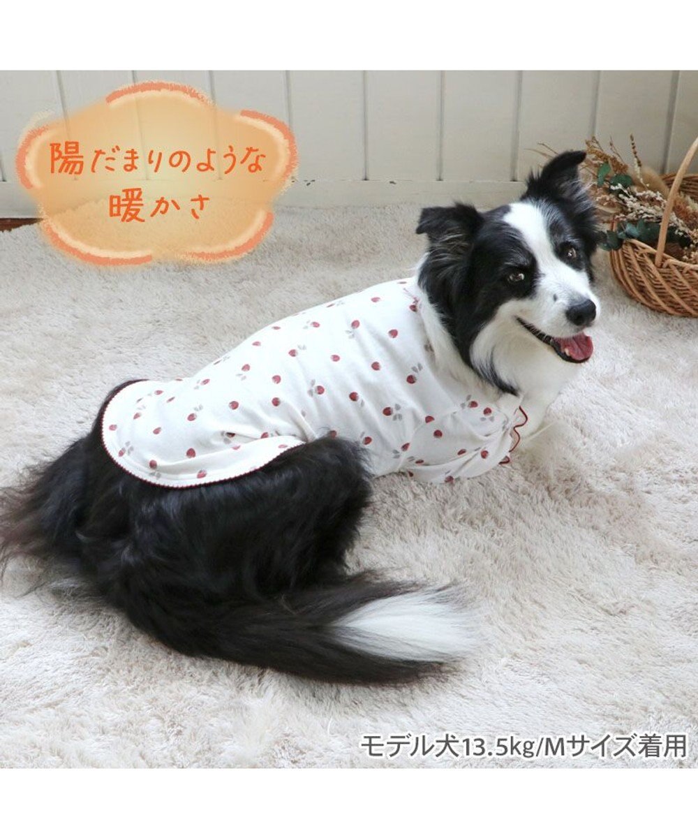 PET PARADISE ペットパラダイス ペティヒート Tシャツ 《苺柄》 中型犬 大型犬 
