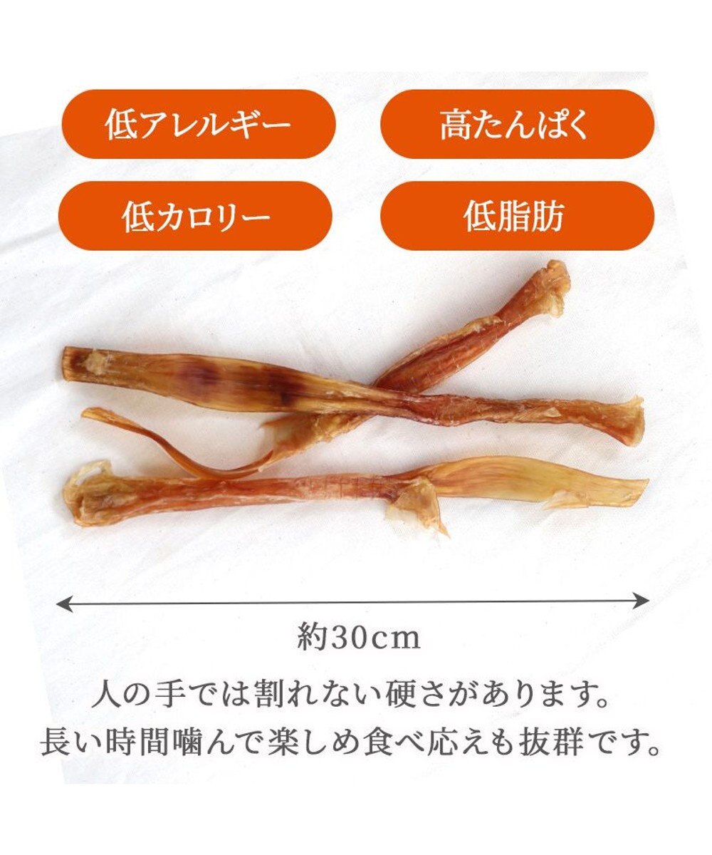 PET PARADISE 馬アキレス ジャーキー ロングジャーキー 3本入り 