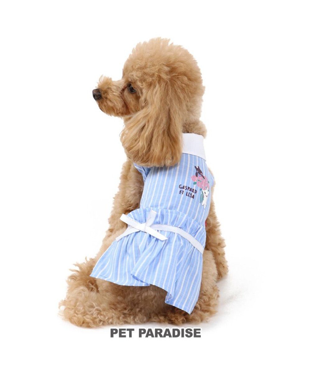 犬服 犬 服 ペットパラダイス リサとガスパール ローズ ワンピース 〔小型犬〕 超小型犬 小型犬, 水色, ４Ｓ