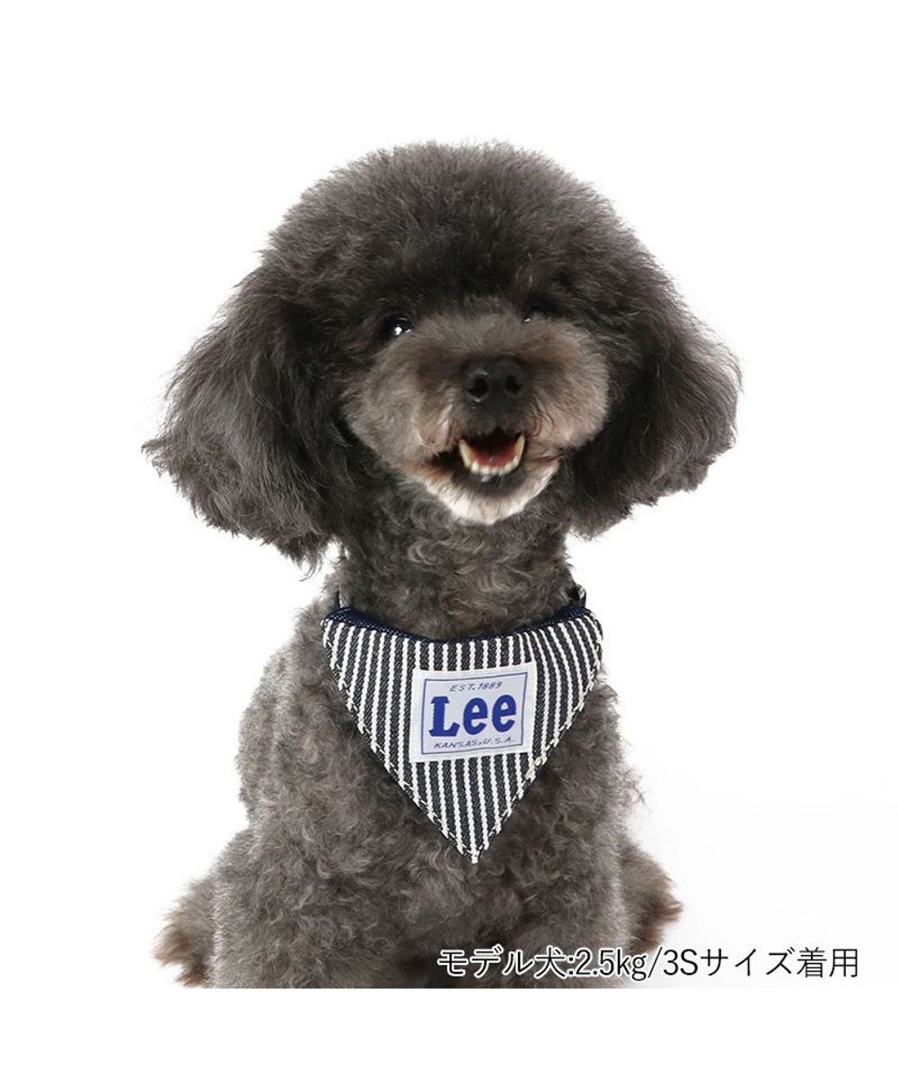 PET PARADISE Ｌｅｅ ヒッコリー 両面バンダナ付き 首輪【３Ｓ】 