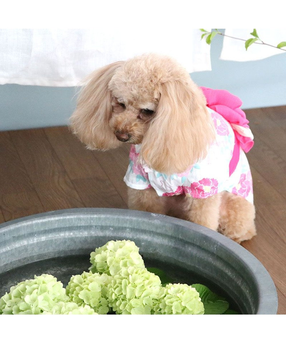 犬の服 夏 犬服 浴衣 牡丹柄 ピンク 【小型犬】 / PET PARADISE