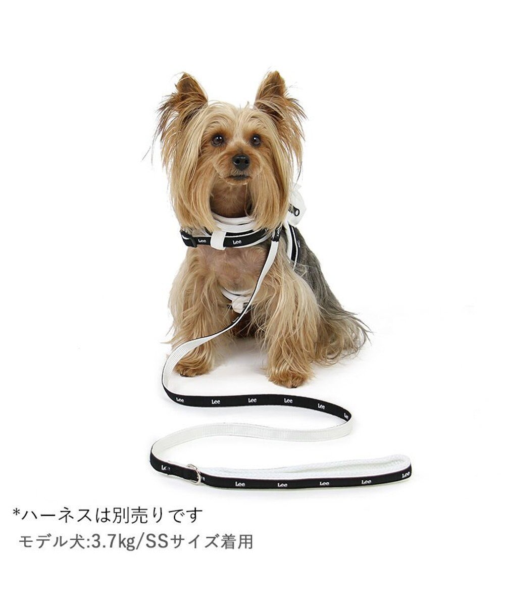 Lee 白テープ リード 小型犬 SS~S / PET PARADISE