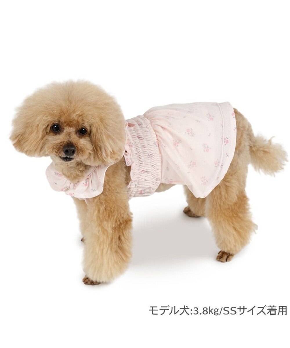 PET PARADISE ペットパラダイス エコメッシュ ワンピース《小花柄 ピンク》 小型犬 