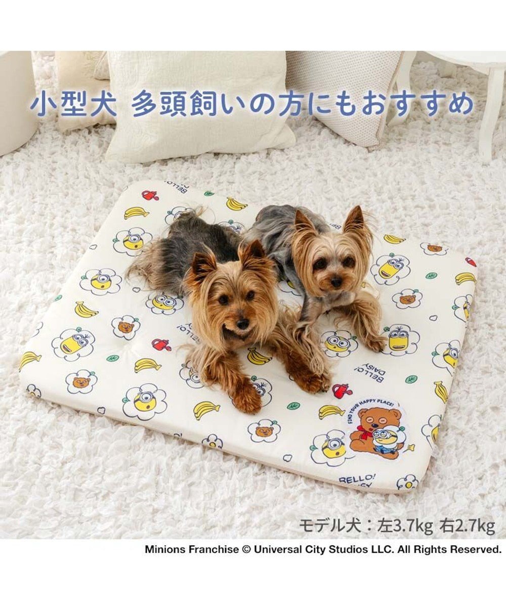 PET PARADISE ミニオン もちっと クール マット 