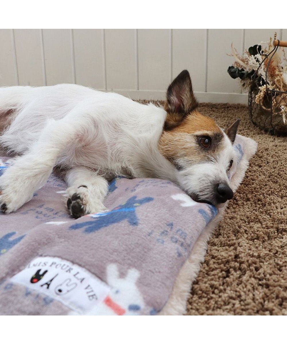 PET PARADISE リサとガスパール 遠赤外線 ボアマット 《 であい柄 》 (80×60cm)