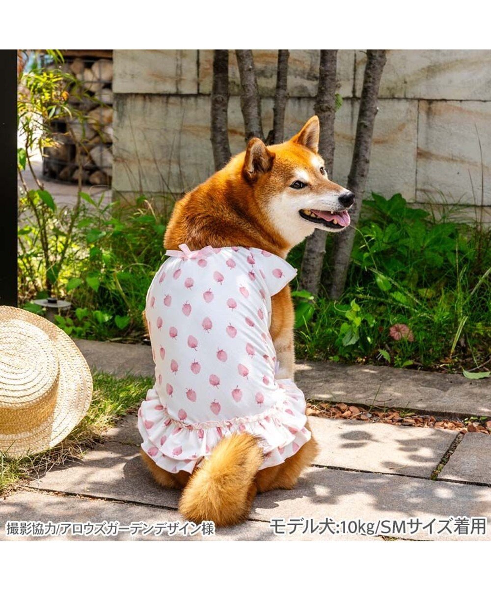 PET PARADISE ペットパラダイス タッチワンクールプラス Tシャツ 《いちご》 中型犬 大型犬 