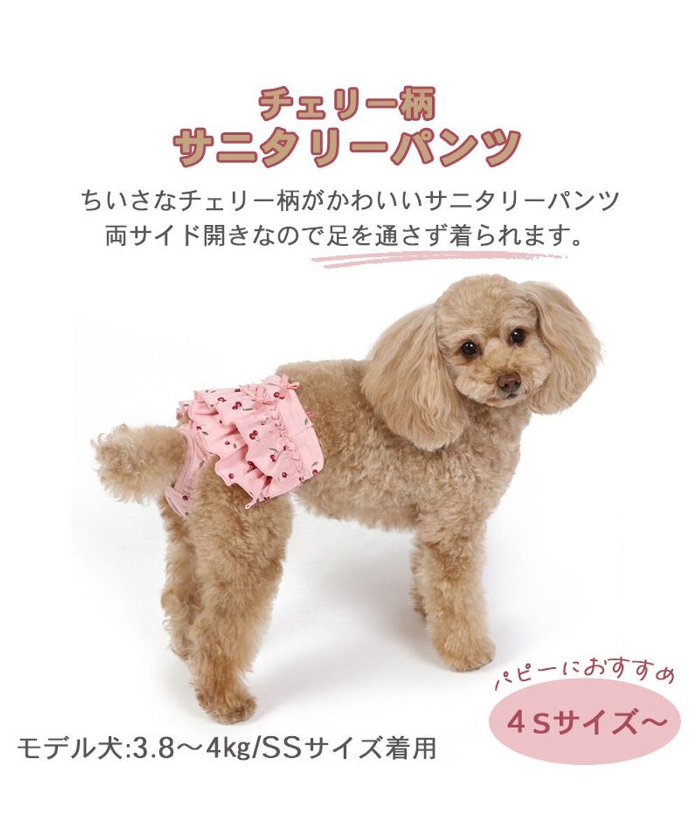 犬の服 犬 サニタリーパンツ 【小型犬】 チェリー柄 / PET PARADISE