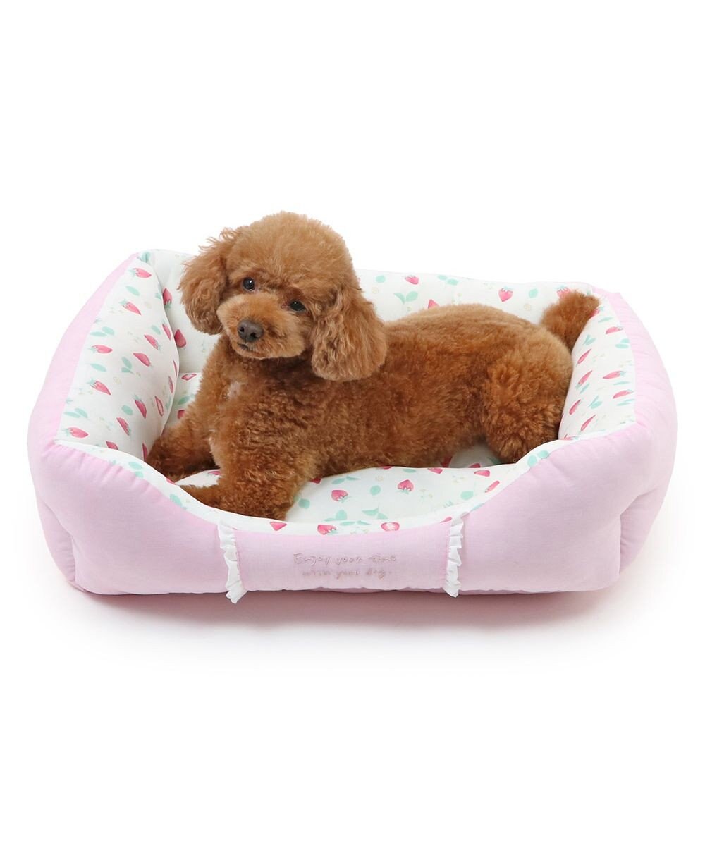 PET PARADISE ペットパラダイス クールカドラー 角型《いちご&お花柄》 小型犬