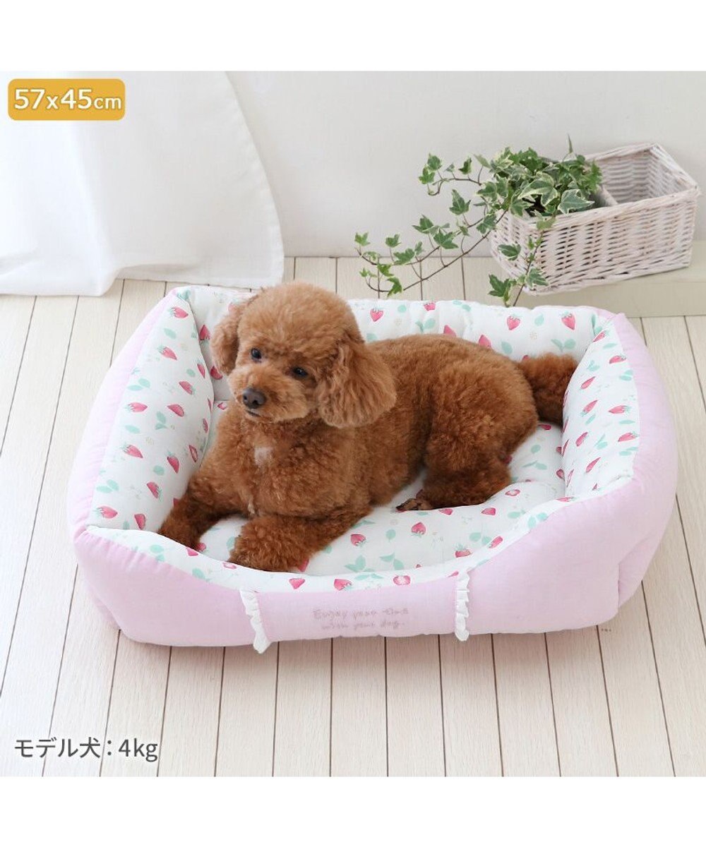 PET PARADISE ペットパラダイス クールカドラー 角型《いちご＆お花柄》 小型犬 
