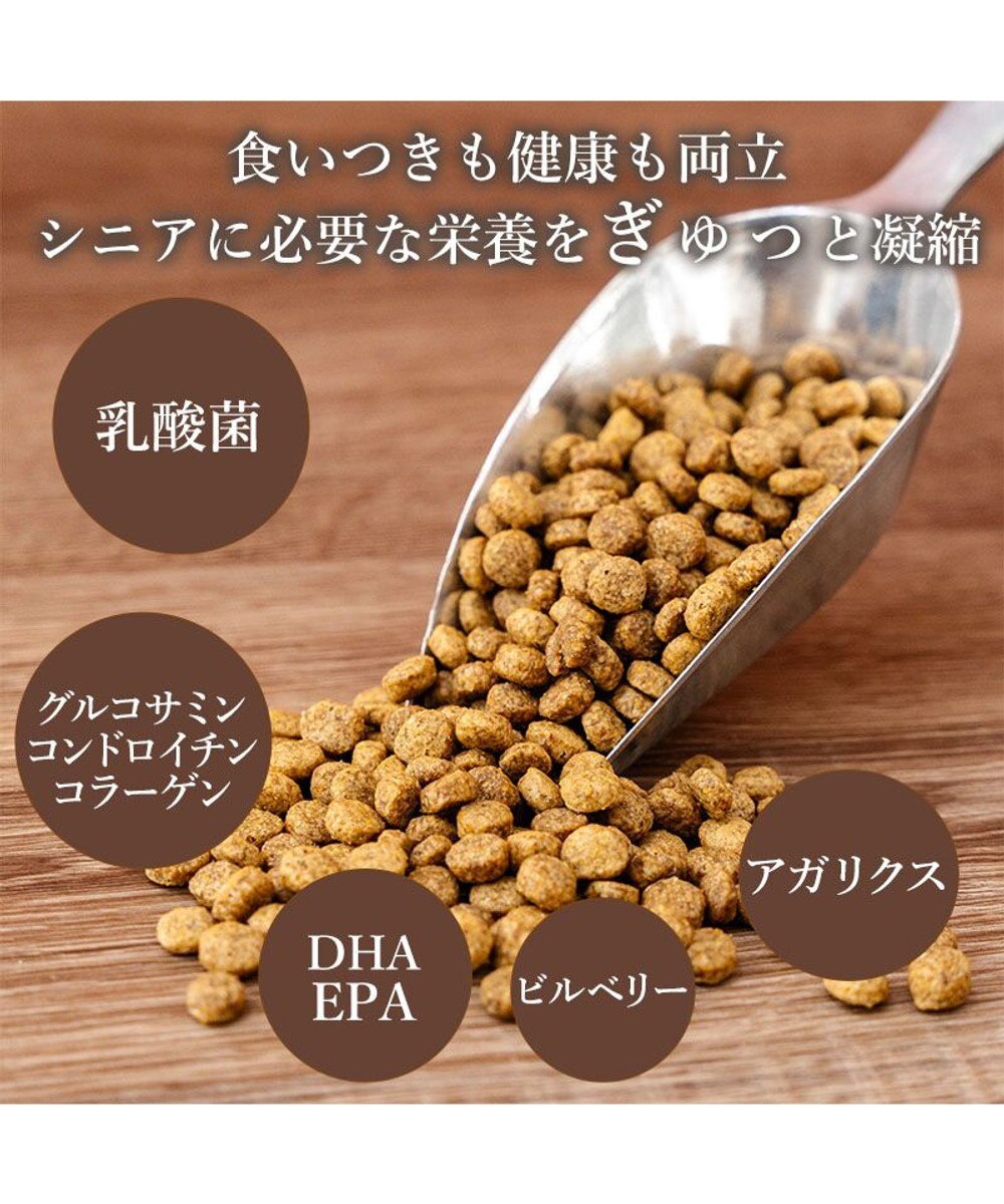 PET PARADISE ビオキッチン エイジングネオ ５００ｇ 