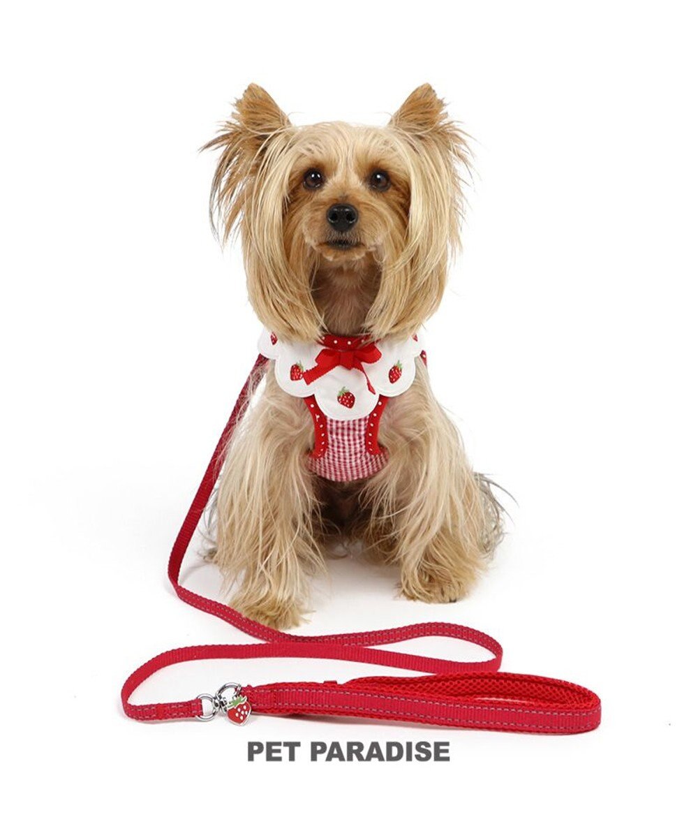 PET PARADISE ペットパラダイス ハーネス＆リード  スカラップカラー《苺 》 ＳＳ 小型犬 レッド