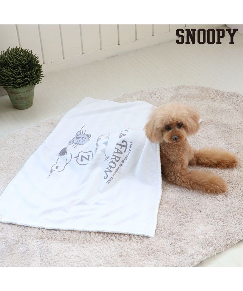 スヌーピー ファーロン ブランケット 90 60cm 毛布 ひざ掛け ネット限定 Pet Paradise 通販 雑貨とペット用品の通販サイト マザーガーデン ペットパラダイス スヌーピー ファーロン ブランケット 90 60cm 毛布 ひざ掛け ネット限定 Pet Paradise 通販 雑貨とペット用品の通販サイト マザーガーデン ペットパラダイス