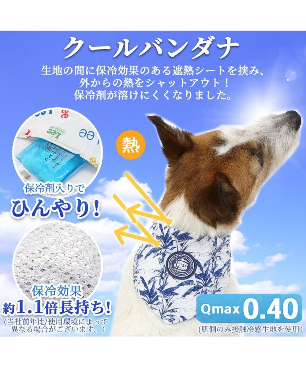 Zfjhoma5dzosum Zfjhoma5dzosum