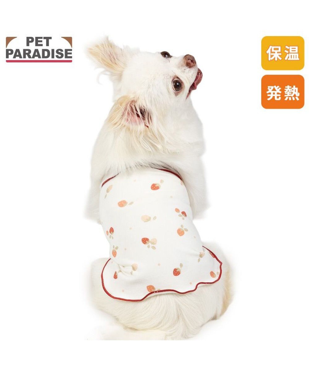 PET PARADISE ペットパラダイス ペティヒート 天竺 腹巻 《いちご柄》 小型犬 