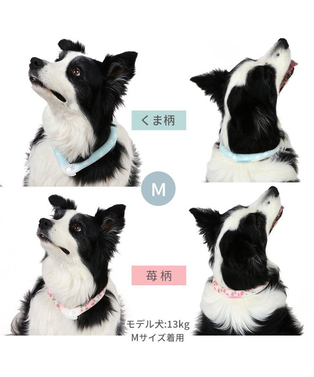 PET PARADISE ペットパラダイス 28℃クールリング SUO 《いちご柄》 〔M〕 中型犬