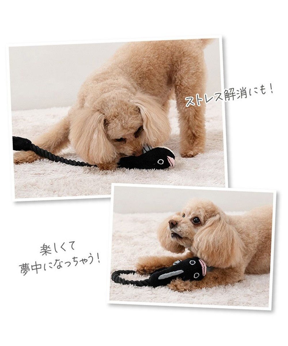 PET PARADISE  ペットパラダイス うなぎ ロープトイ《大》 