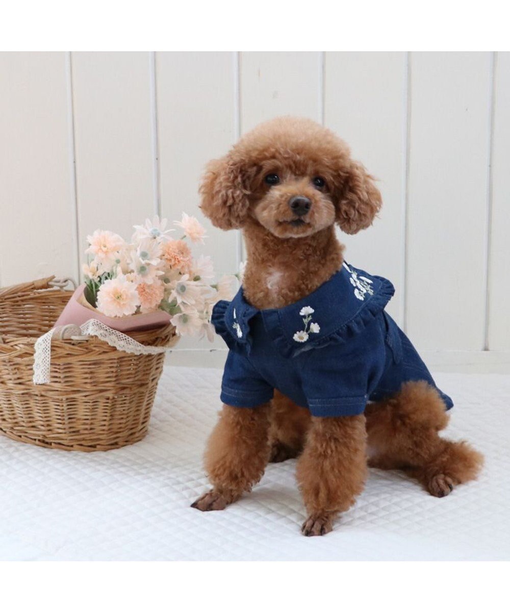 PET PARADISE ペットパラダイス 刺繍BIG襟 ジャケット 小型犬 