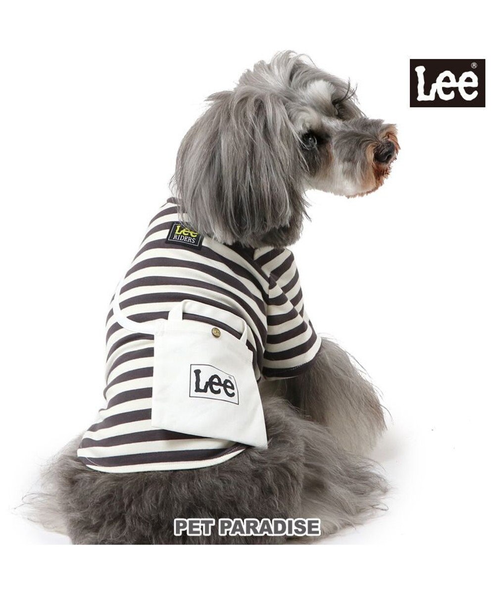 PET PARADISE Lee ショルダー ボーダー Ｔシャツ 小型犬 ボーダー