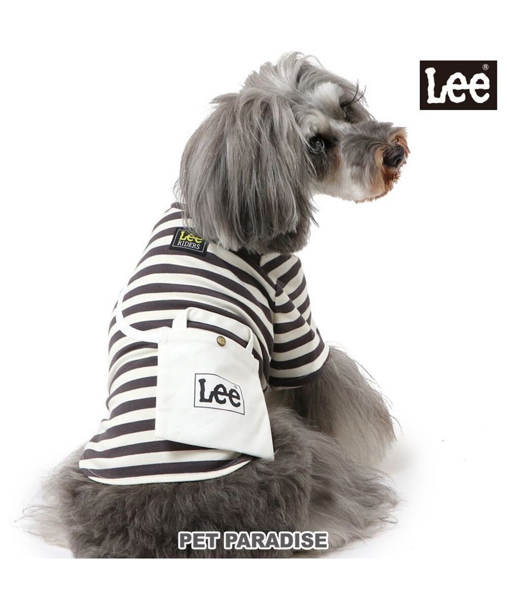 PET PARADISE Lee ショルダー ボーダー Tシャツ 小型犬