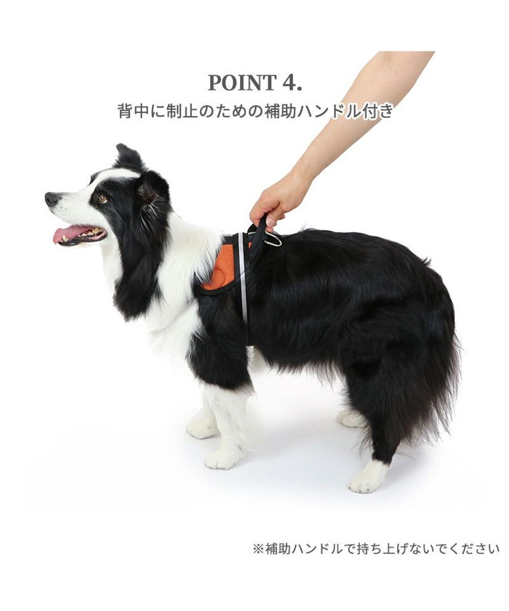 PET PARADISE ヘッドインハーネス  【Ｍ】オレンジ / ブルー 【中型犬 大型犬】 