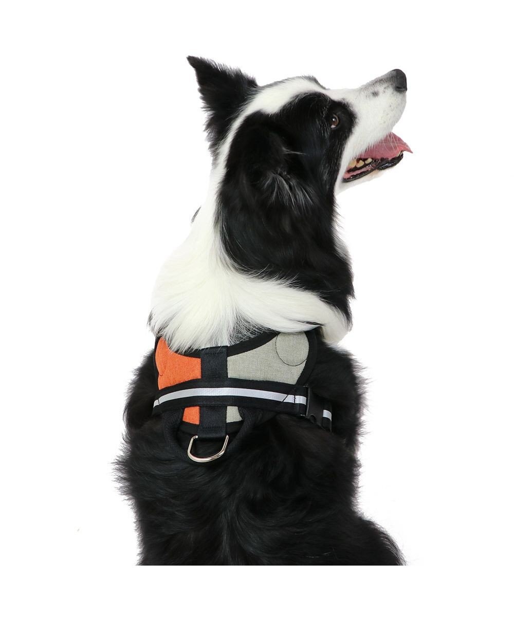 PET PARADISE ヘッドインハーネス  【Ｍ】オレンジ / ブルー 【中型犬 大型犬】 