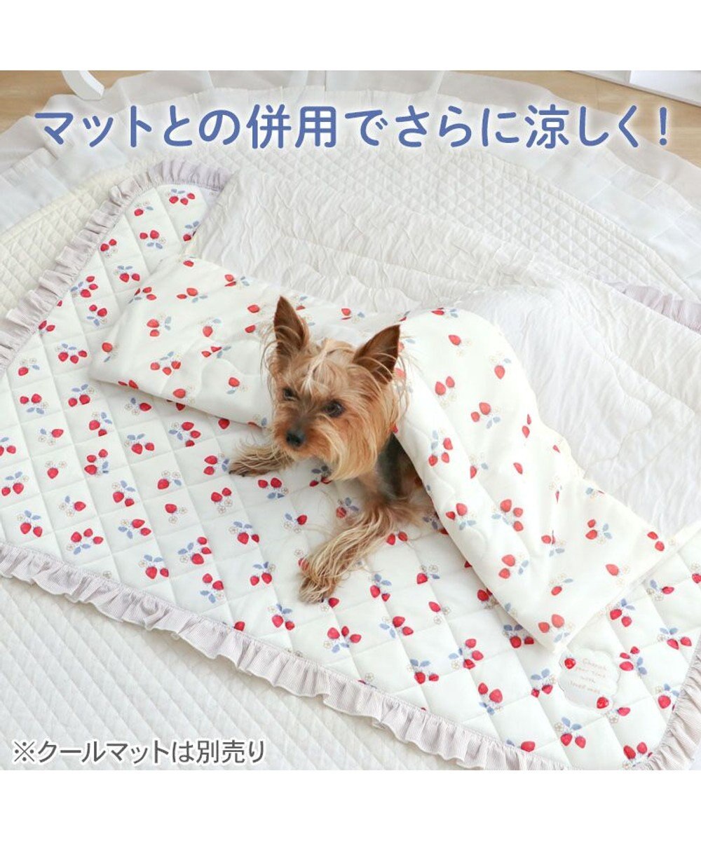 PET PARADISE ペットパラダイス もちっと クール ブランケット 《苺柄》 
