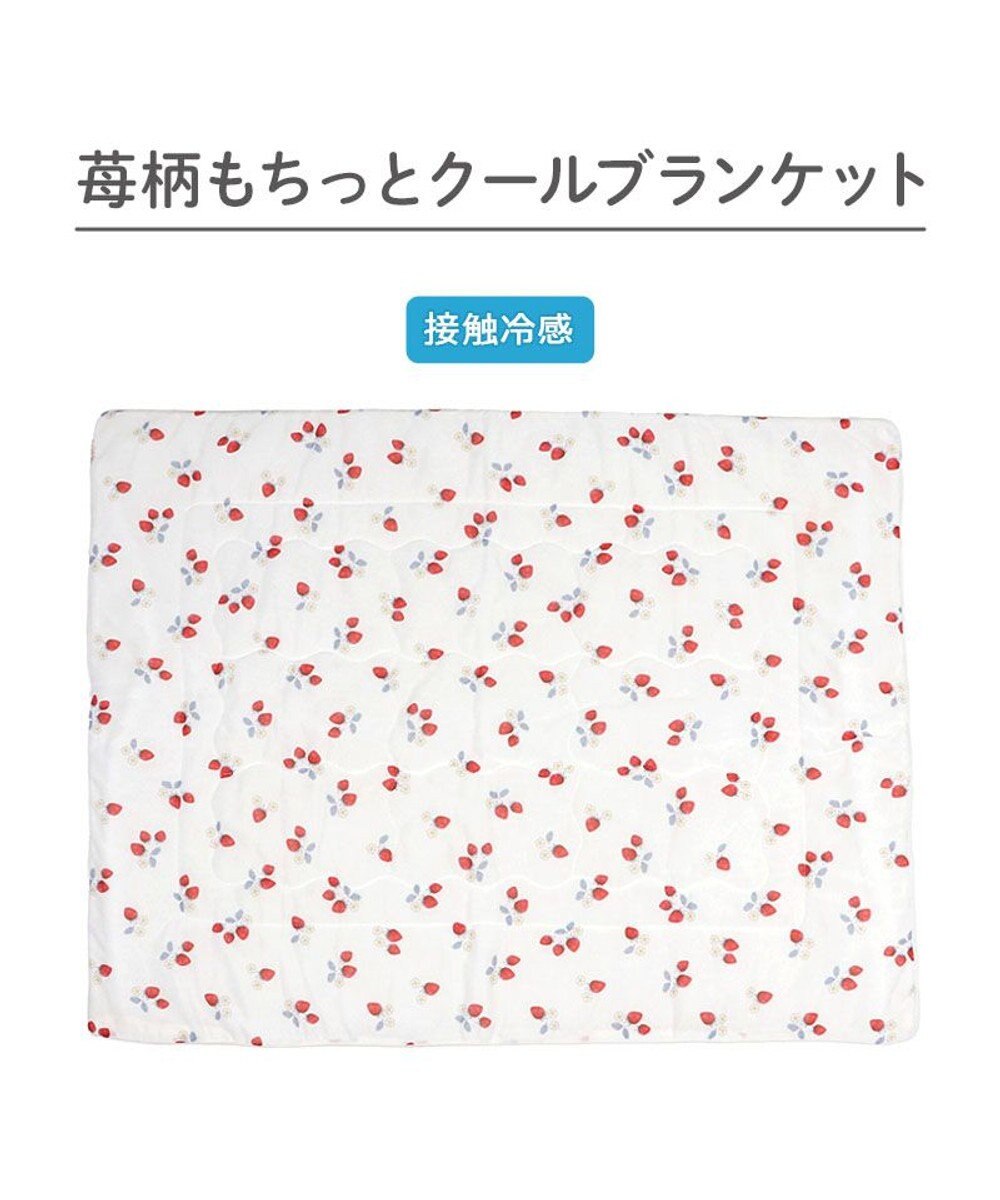 PET PARADISE ペットパラダイス もちっと クール ブランケット 《苺柄》 