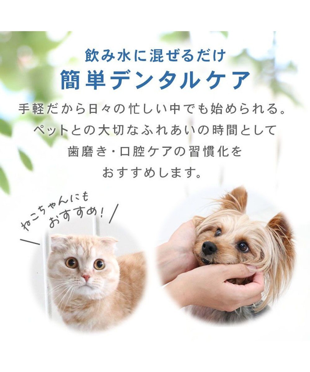 PET PARADISE オーガニック デンタルウォーター（犬・猫用） 120ｍＬ 