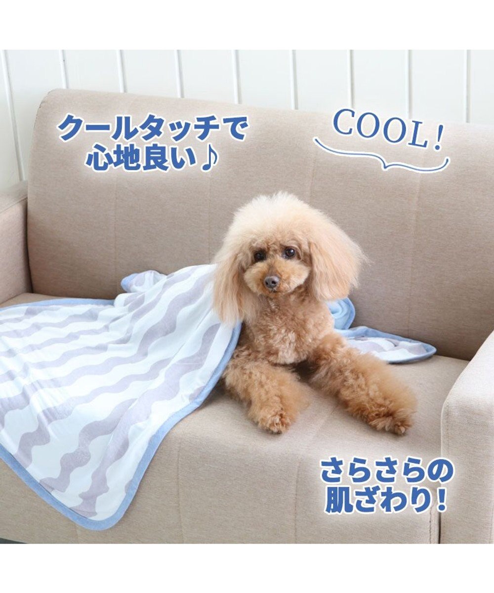 犬 春夏 クール 接触冷感 ブランケット 90 60cm 波柄 灰 毛布 ひざ掛け ひんやり ひんやり 夏 冷却 冷感 Pet Paradise 通販 雑貨とペット用品の通販サイト マザーガーデン ペットパラダイス
