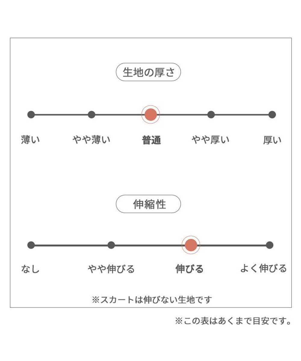 PET PARADISE ディズニー ミニーマウス アンティーク柄 ワンピース 【小型犬】 