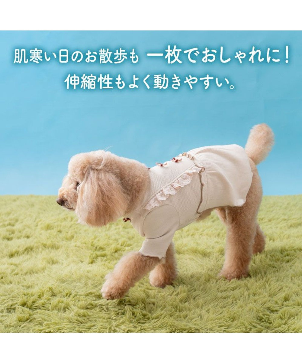 PET PARADISE ペットパラダイス ミニリボン プレミアム ペティヒート ワンピース 小型犬 