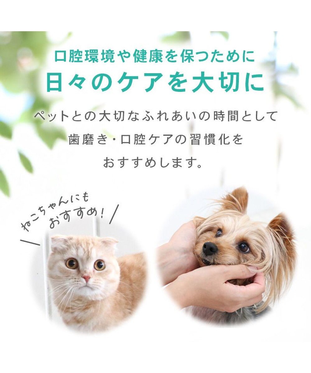 PET PARADISE ペットパラダイス デンタル ブラッシングジェル 