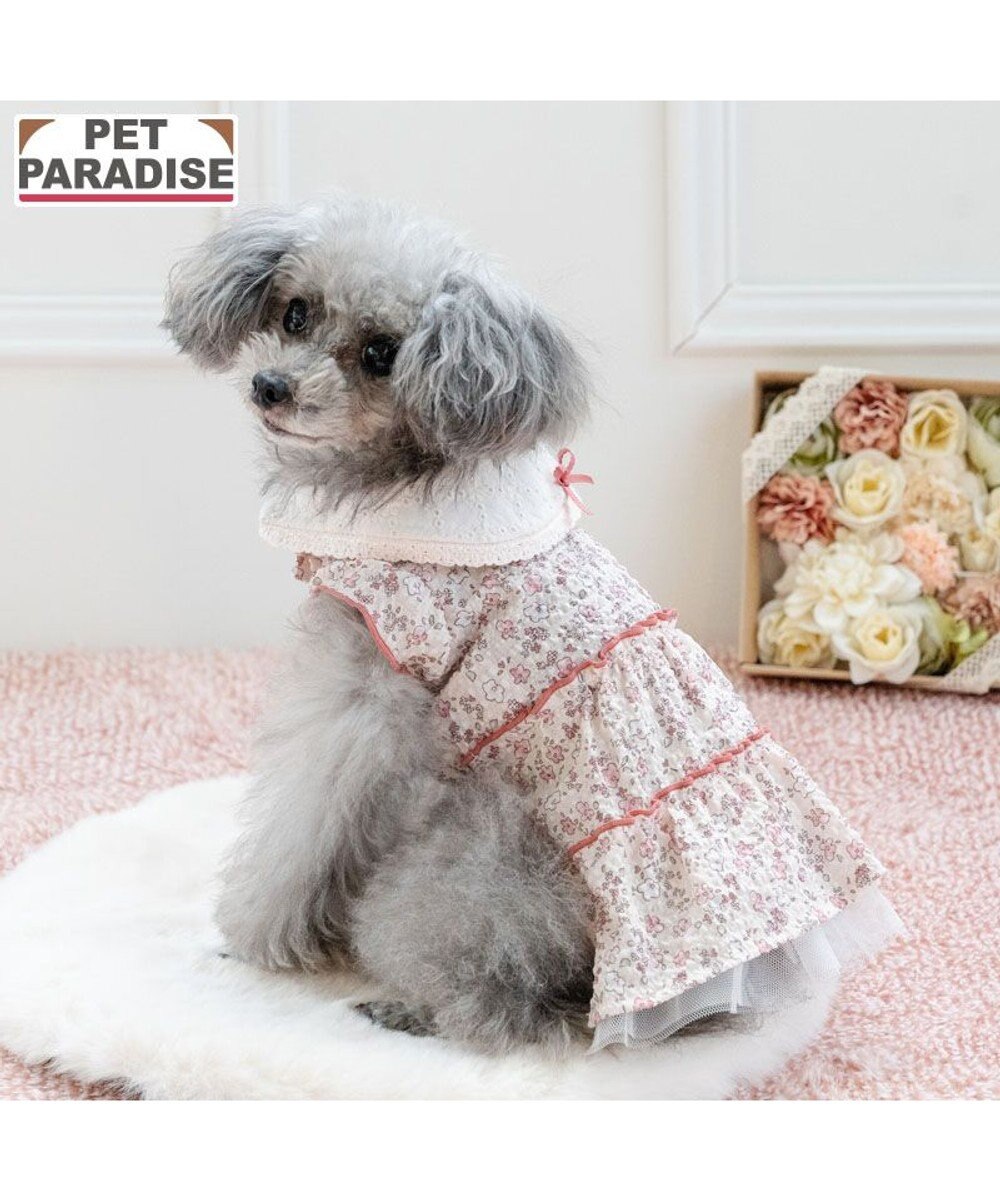 PET PARADISE ペットパラダイス レース襟 小花 ワンピース 小型犬 