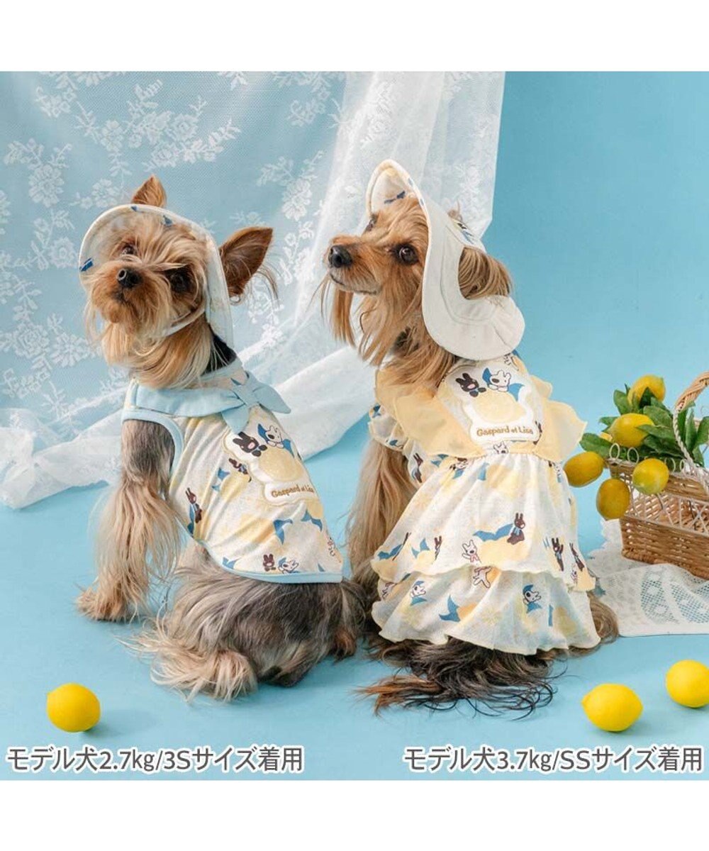 PET PARADISE リサとガスパール エコメイド シトラス ワンピース 小型犬 