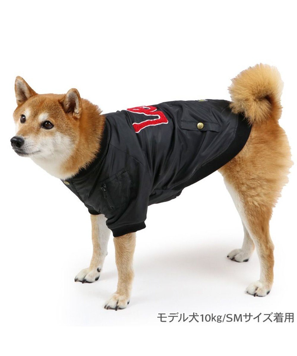 PET PARADISE Lee サガラ刺繍 ブルゾン 中型犬 