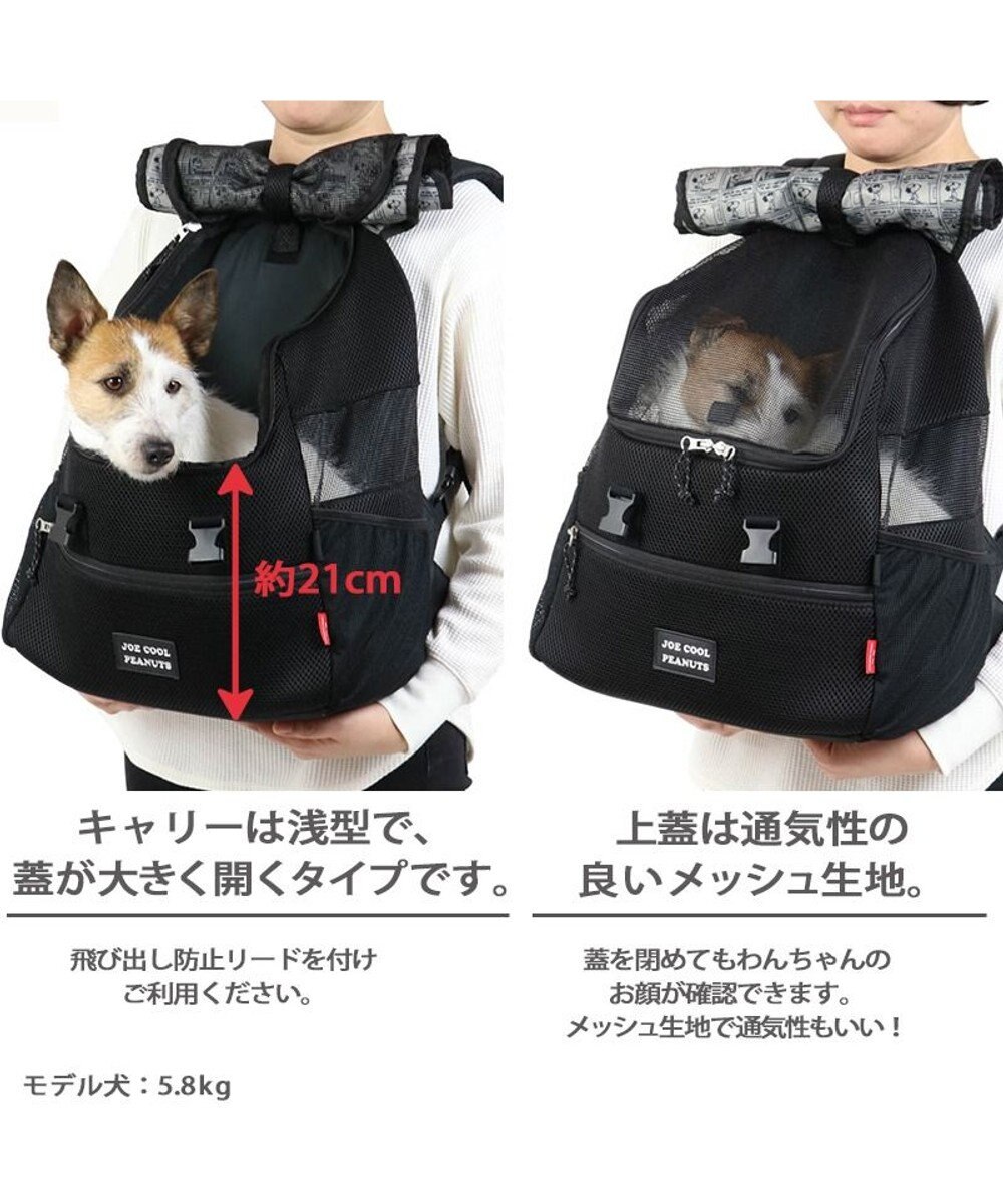 PET PARADISE スヌーピー JOE COOL　ハグ＆リュック キャリーバッグ 【小型犬】 