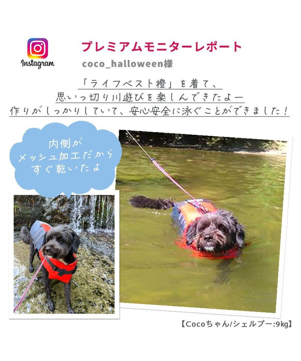 PET PARADISE ペットパラダイス ライフベスト【SS~S】 《オレンジ》