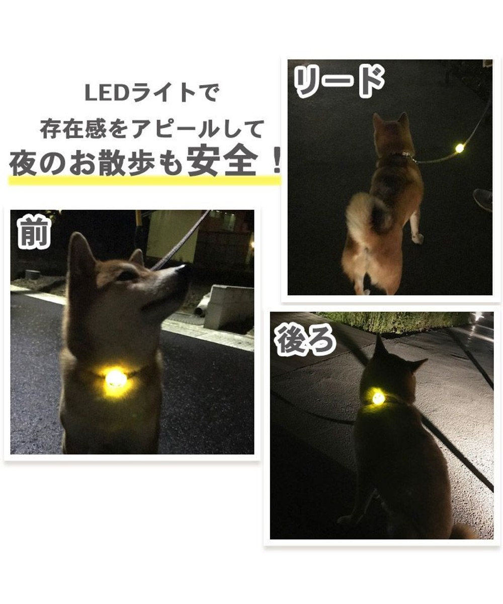 犬 猫 ペット 首輪 ハーネス ライト LED 散歩 キーホルダー 安全 現品