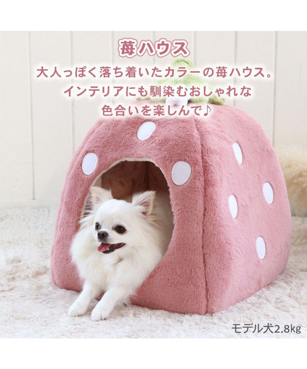 PET PARADISE ペットパラダイス くすみ苺 ハウス M (38×38×40cm) 超小型犬 