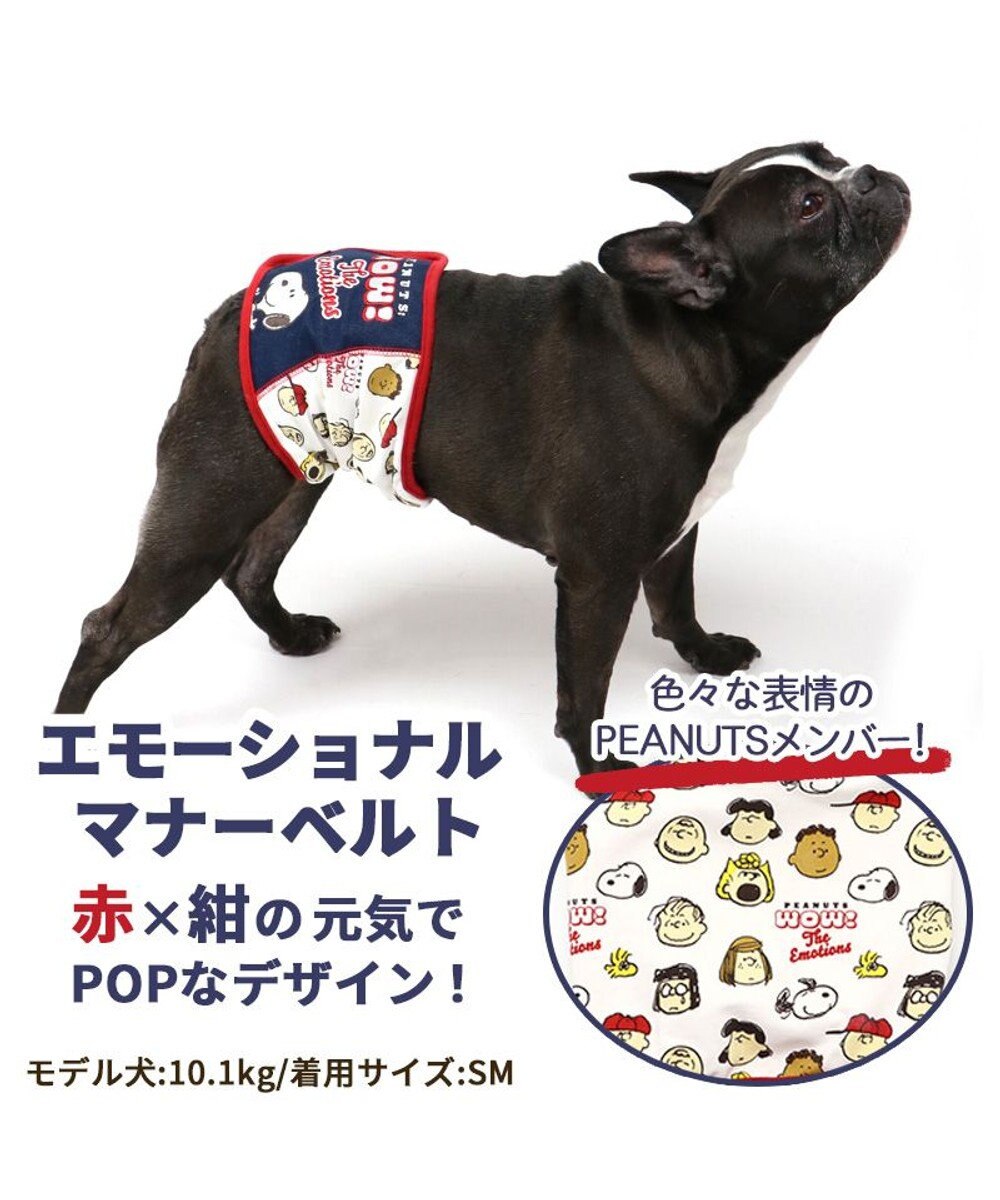 PET PARADISE 犬 服 夏服 スヌーピー マナーベルト【中型犬】 【大型犬】 エモーショナル グッズ 男の子 マナーベルト 