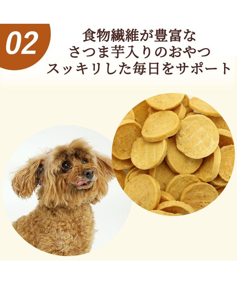 PET PARADISE さつま芋 ささみ チップ 100g  大袋 