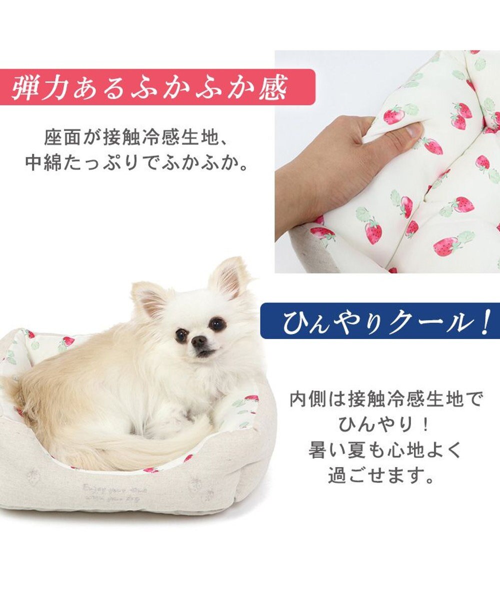 PET PARADISE 苺柄 四角型クール カドラーベッド（38cm） 
